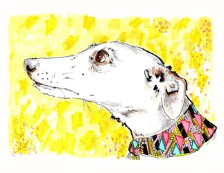 Silvertips The Greyhound, 2012 (kynä ja muste paperille)